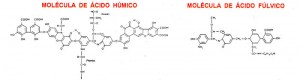 Moléculas de los ácidos húmicos y ácidos fúlvicos